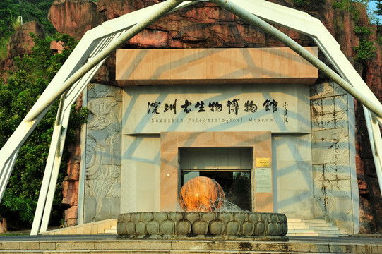 深圳仙湖植物园深圳古生物博物馆