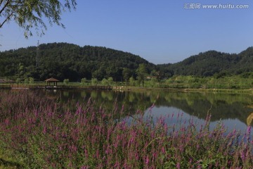 银湖公园风景