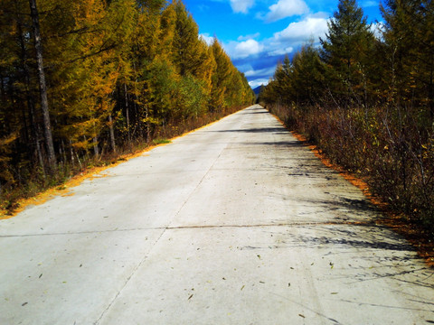 秋季公路