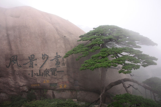 黄山 云海 怪石 石头 山顶