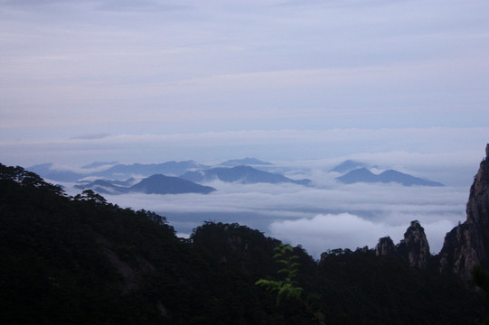 黄山 云海 云雾 怪石