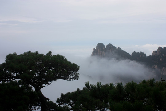 黄山 云海 云雾 安徽