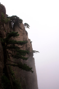 黄山 云海 怪石 石头 山顶