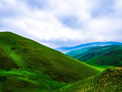 大海草山