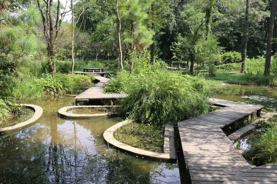 植物园风景