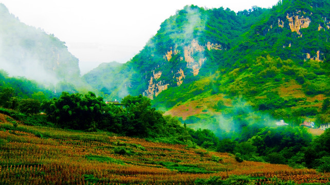 山崖 山地