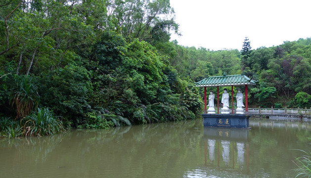 大垌山 阳西 连池