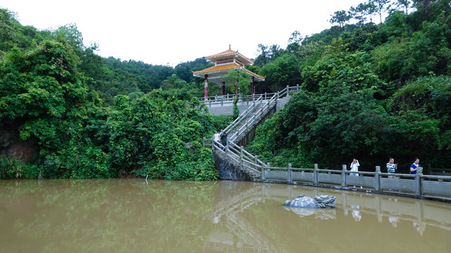 大垌山 阳西 连池