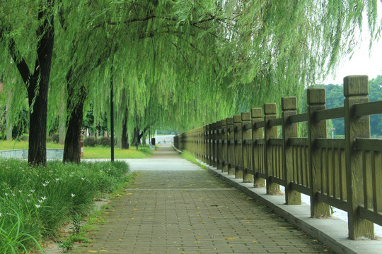 最美风景