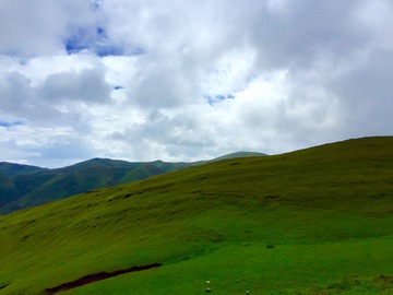 大海草山