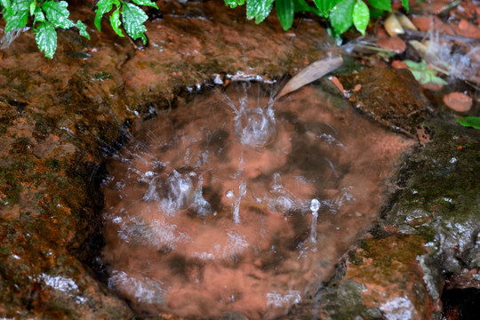 清泉滴水