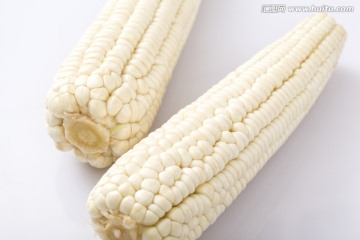 白玉米