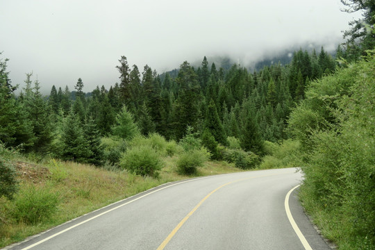 沿途的风景 公路