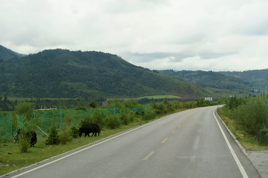 在路上 公路