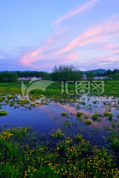 大兴安岭湿地