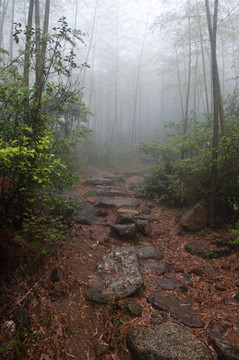 山道