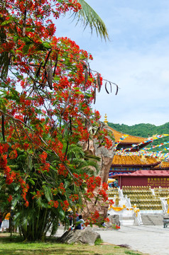 经幡寺庙