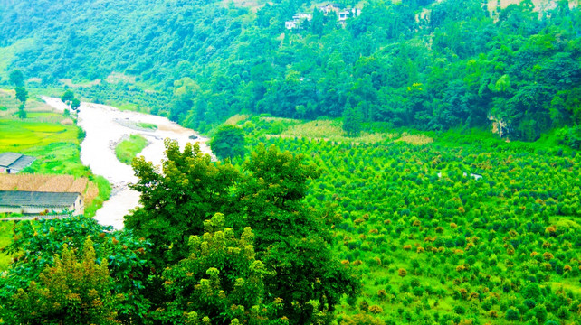 河流 山村