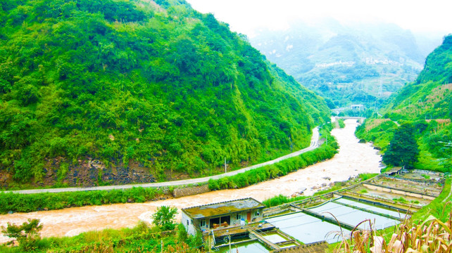 河流 公路 青山