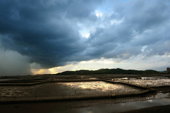 海产养殖 滩涂