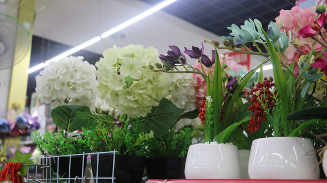 鲜花
