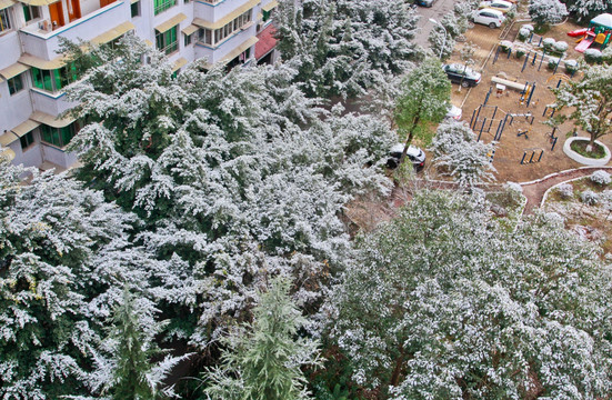 小区里的积雪