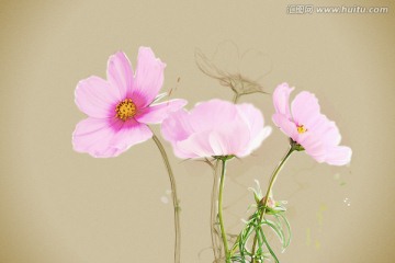 粉红色小花