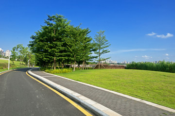园林通道景色