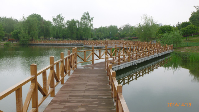 湿地公园 桥