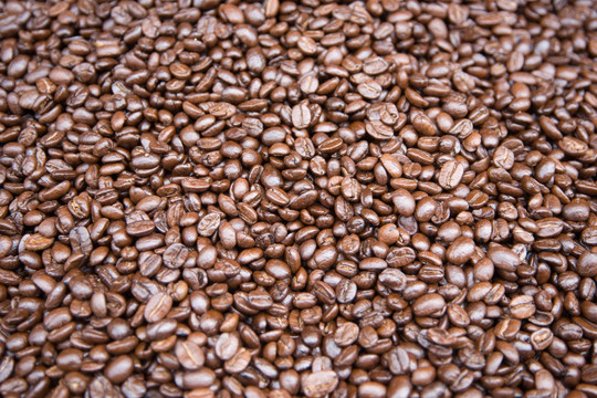 咖啡豆背景实拍