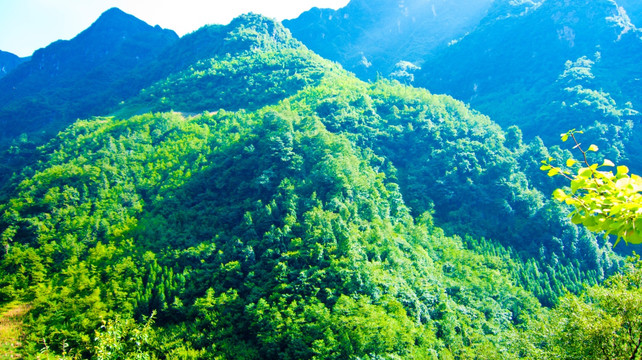 大山 青山 高山