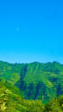 山陵 山月