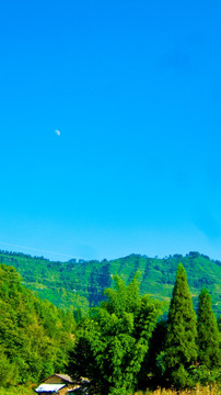 山林 山月