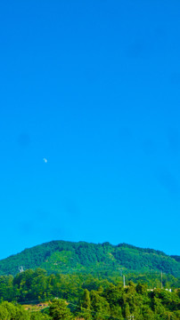 青山 山月