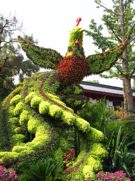 凤凰 城市草塑