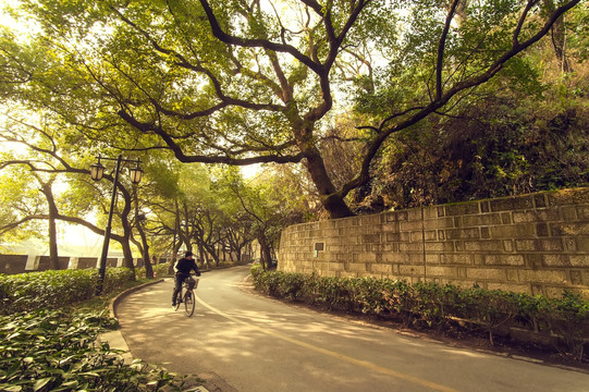 绍兴府山环山路