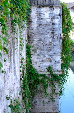 沿河而建的古民居外墙