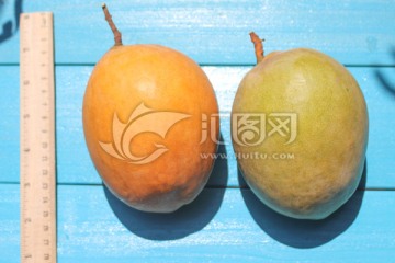 芒果高清图片