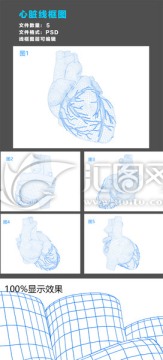 心脏线框图