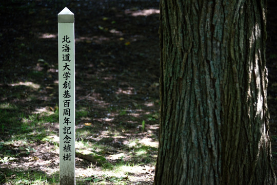 北海道大学百周年纪念植树纪念碑