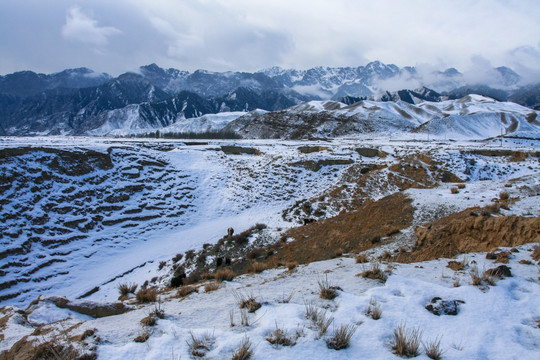 天山山脉积雪