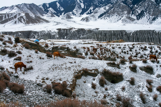 天山山脉积雪