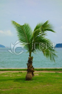 珠海
