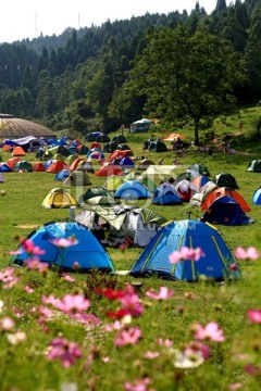 草地 鲜花 帐篷营地
