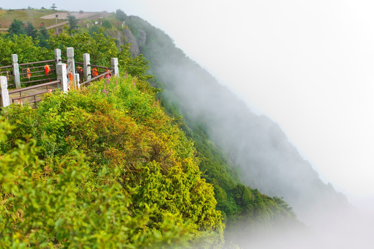 巅峰仙境