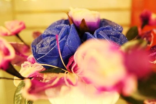 蓝色妖姬 蓝玫瑰
