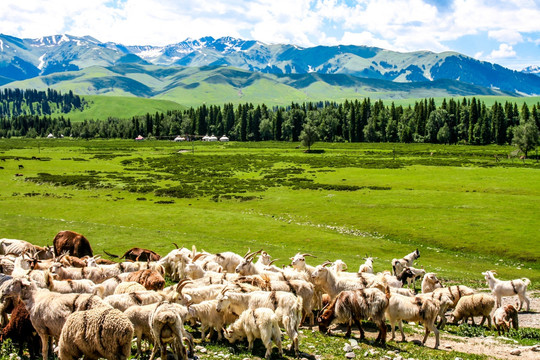 博乐怪石峪风景