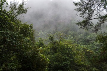 高山云雾