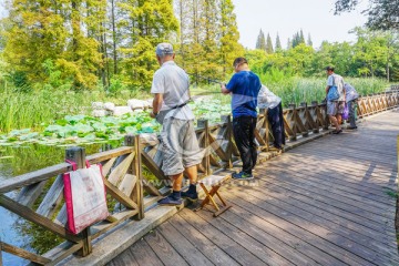 休闲垂钓