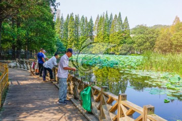 休闲垂钓